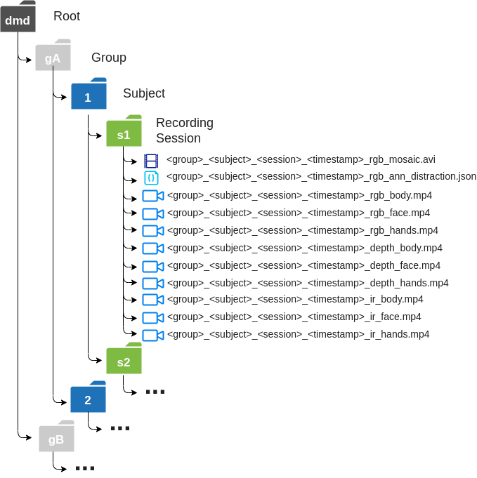 DMD File Structure